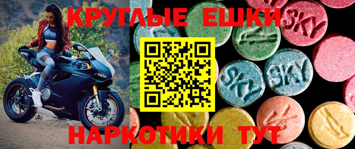 Ecstasy бентли Кировск